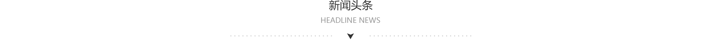 找树网新闻头条